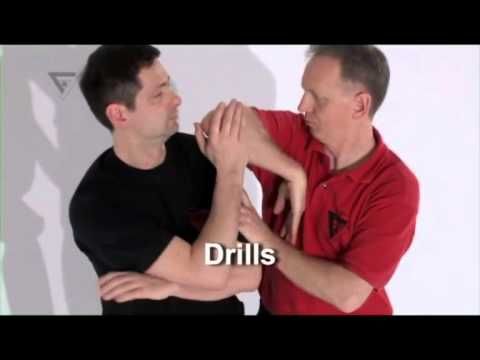 Video guide by Everything Wing Chun: Niko Level 7 #niko