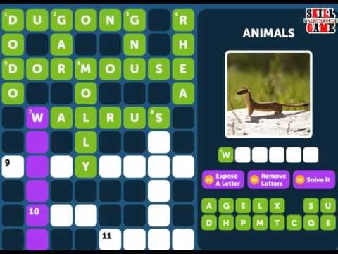 Video guide by Skill Game Walkthrough: - Animals - Level 10 #animals