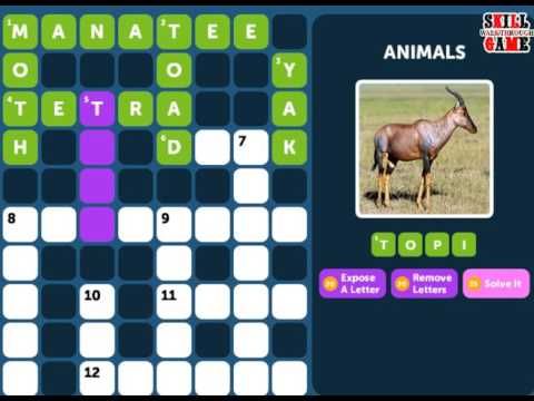 Video guide by Skill Game Walkthrough: - Animals - Level 9 #animals