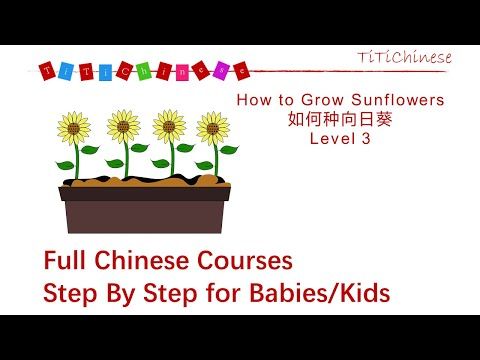 Video guide by TiTiChinese Lin: SunFlowers Level 3 #sunflowers