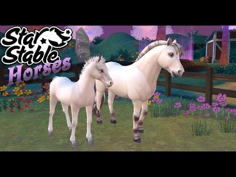 Video guide by Black Fay: Star Stable Horses Level 8 #starstablehorses