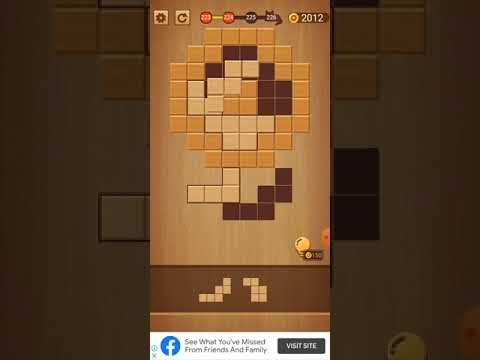 Video guide by Usha Memoriya: Wood Block Puzzle Level 224 #woodblockpuzzle