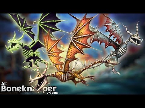 Video guide by Mr. Trajet: Dragons: Rise of Berk Level 999 #dragonsriseof