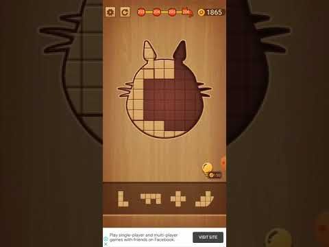 Video guide by Usha Memoriya: Wood Block Puzzle Level 206 #woodblockpuzzle