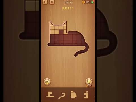 Video guide by Playing Fun Game: Wood Block Puzzle Level 2 #woodblockpuzzle