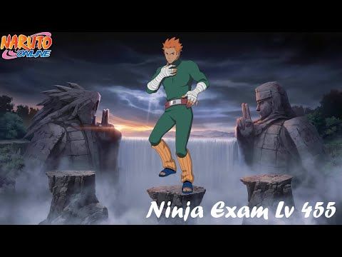 Video guide by Yujin Takara: Ninja Level 455 #ninja