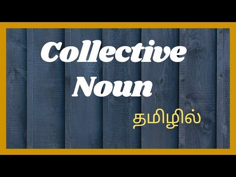 Video guide by Taste English: Collective Noun Part 3 #collectivenoun