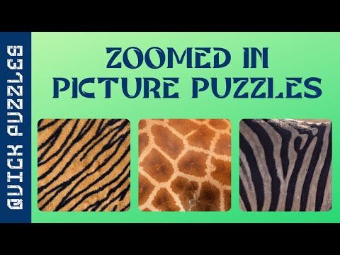 Video guide by Quick Puzzles: Zoomed In Part 1 #zoomedin
