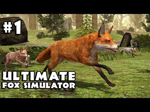 Video guide by DroidGameplaysTV: Fox Simulator Part 1 #foxsimulator