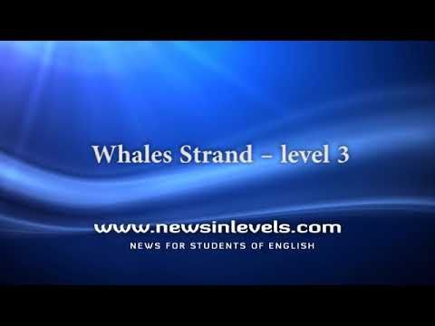 Video guide by NewsinLevels: Strand Level 3 #strand