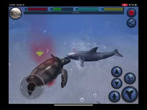 Video guide by Amare's Ultimate Games: Dolphin Simulator Part 1 #dolphinsimulator