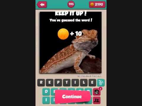Video guide by leonora collado: Pic What? Level 200 #picwhat