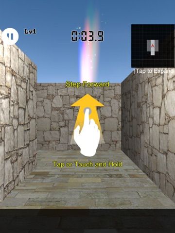 3D Maze Level 100 game screenshot