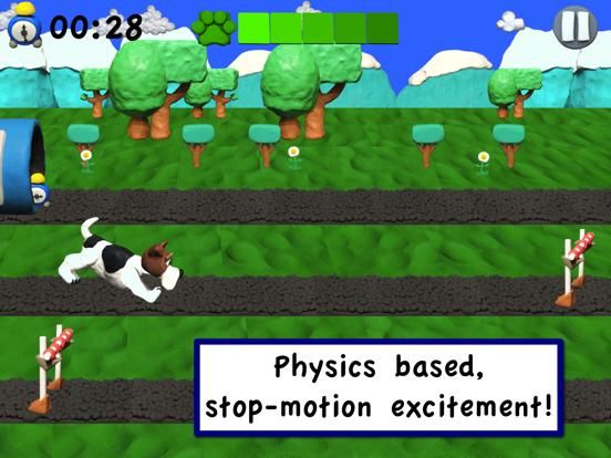 Agility Dogs game screenshot