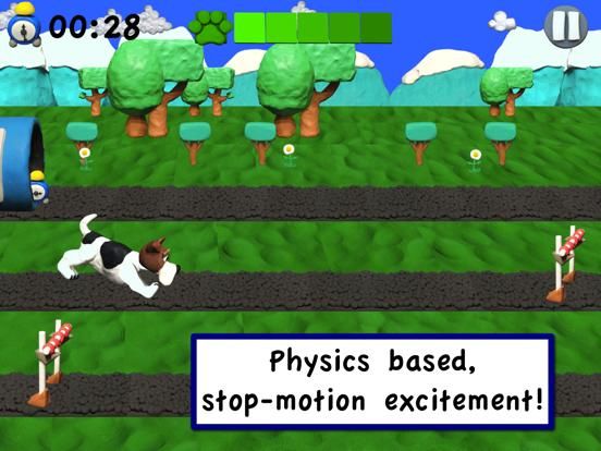 Agility Dogs