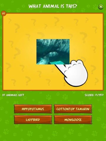 Best Animal Quiz