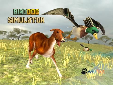 Bird Dog Chase Simulator