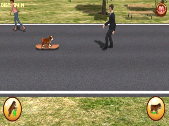 Bulldog on Skateboard 3D