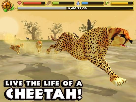 Cheetah Simulator game screenshot