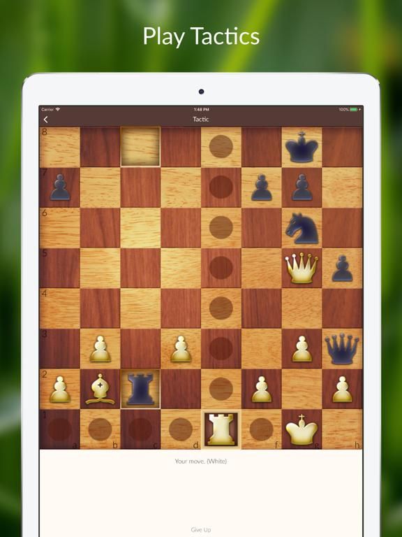 Chess Tactics