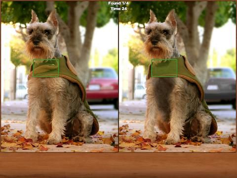 Dogs Spot the Difference game screenshot