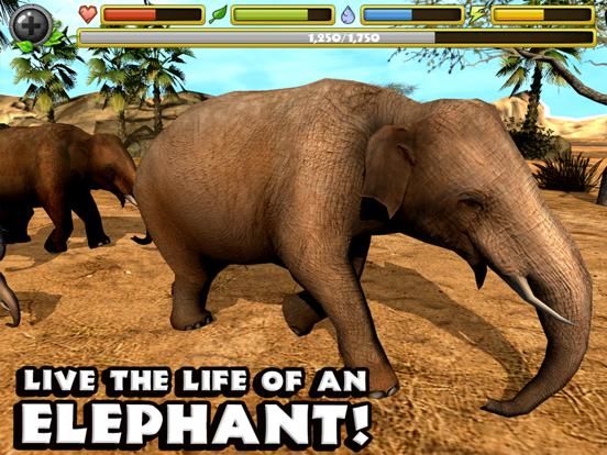 Elephant Simulator