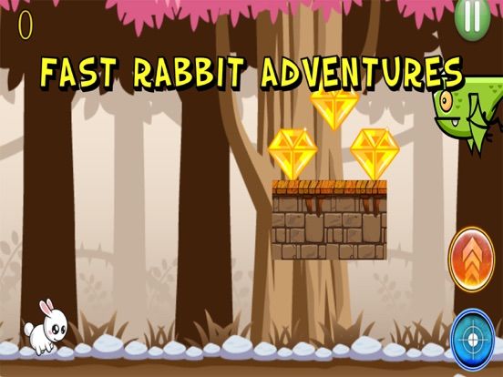 Fast Rabbit Adventures game screenshot