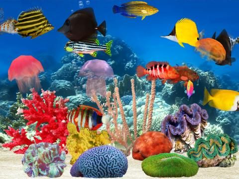 Fish Farm Unlimited