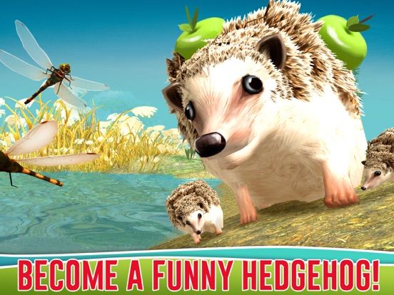 Forest Hedgehog Simulator 3D game screenshot