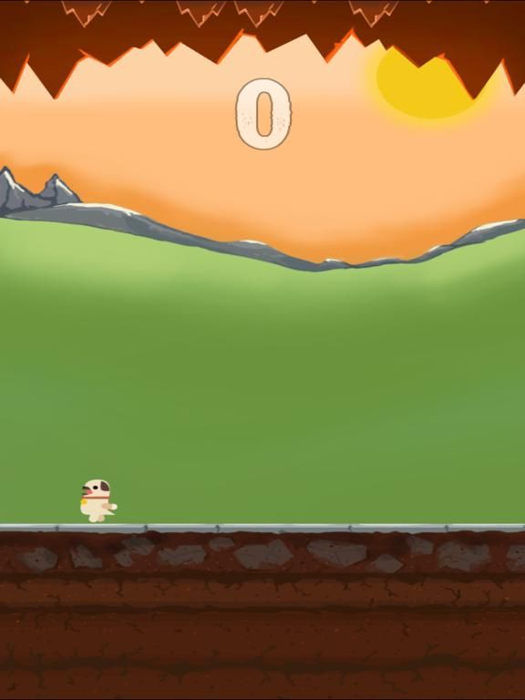 Go Pug Go