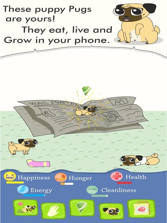 Growing Pug game screenshot