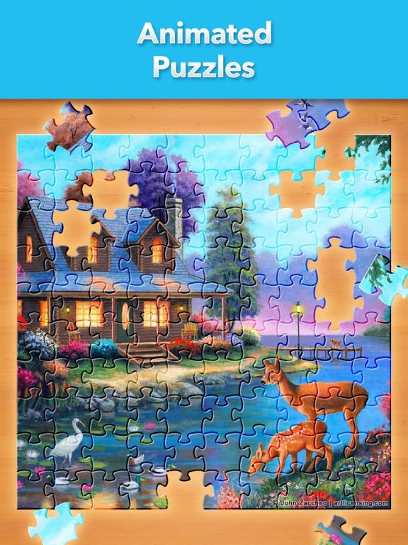 Jigsaw Puzzle Pro