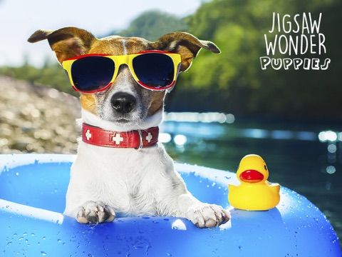 Jigsaw Wonder Puppies Puzzles for Kids