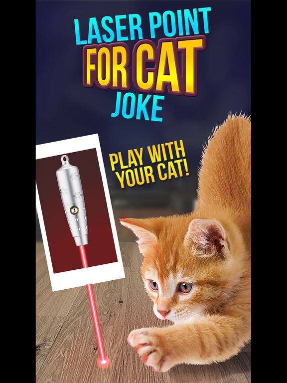 Laser Point For Cat Joke