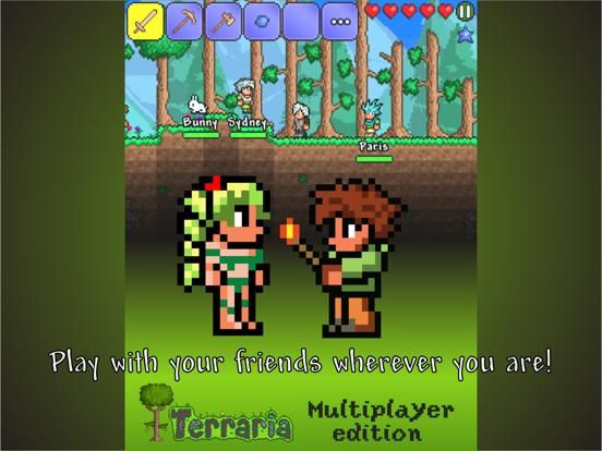 Multiplayer Terraria edition game screenshot