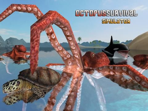 Octopus Survival Simulator
