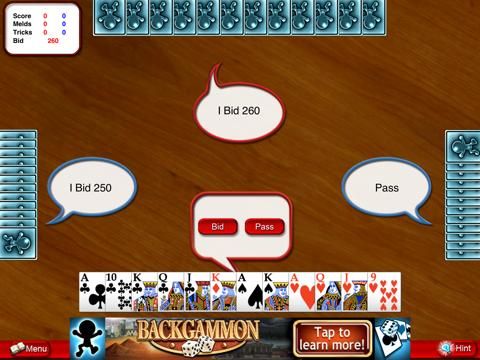 Pinochle Lite game screenshot