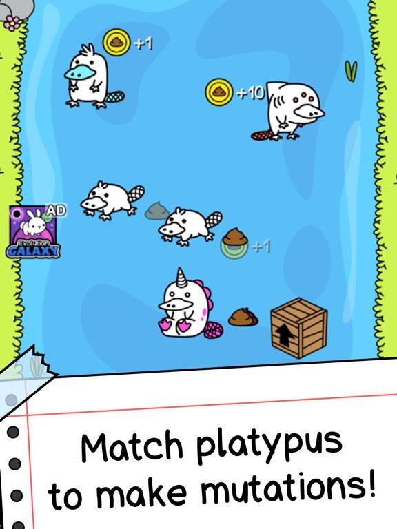Platypus Evolution