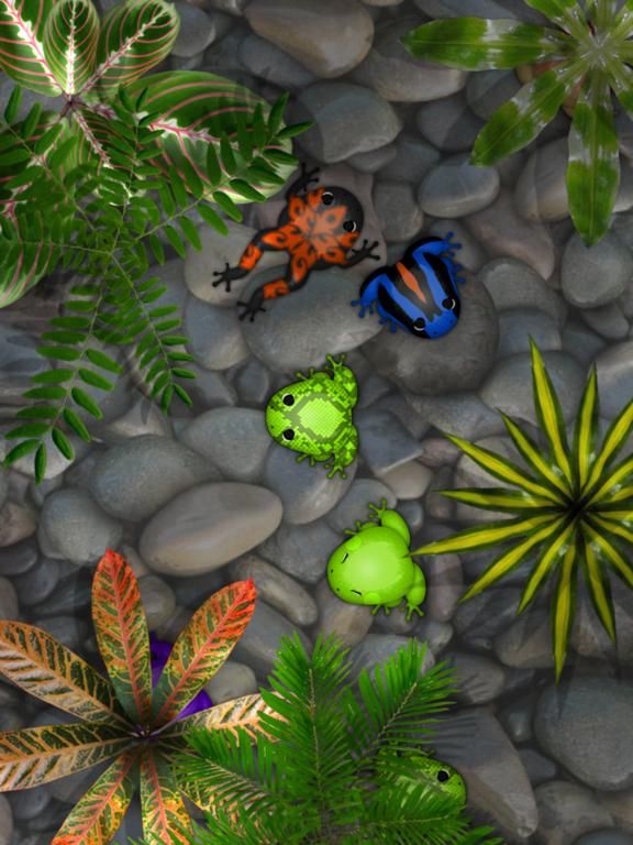 Pocket Frogs game screenshot