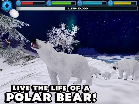 Polar Bear Simulator game screenshot