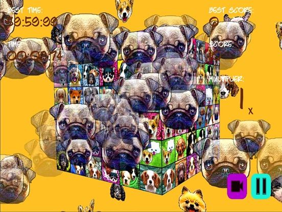 Puppystry