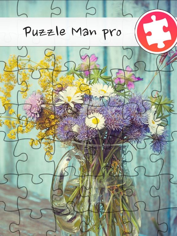 Puzzle Man Pro game screenshot