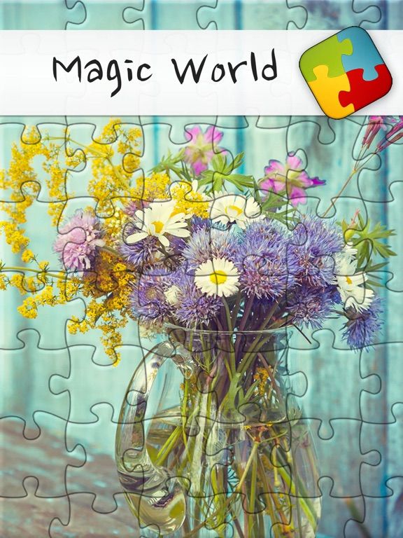 Puzzles & Jigsaws Pro