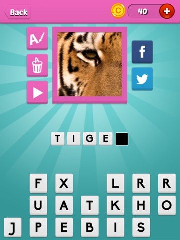 Quiz Pic: Animals