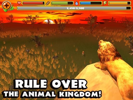 Safari Simulator: Lion