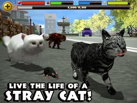 Stray Cat Simulator game screenshot