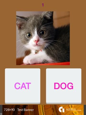 Tic Toc: Cat or Dog game screenshot