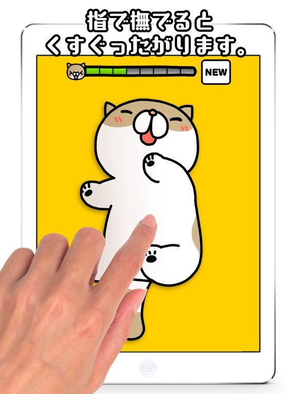 Tickling cat