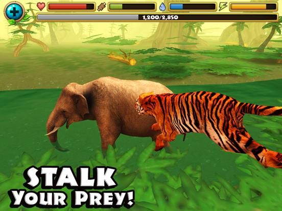 Tiger Simulator
