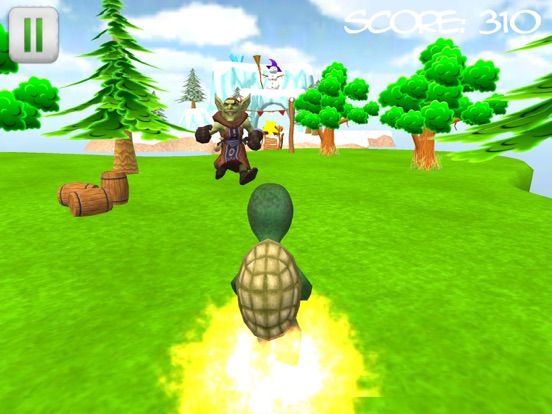 Turtle Run